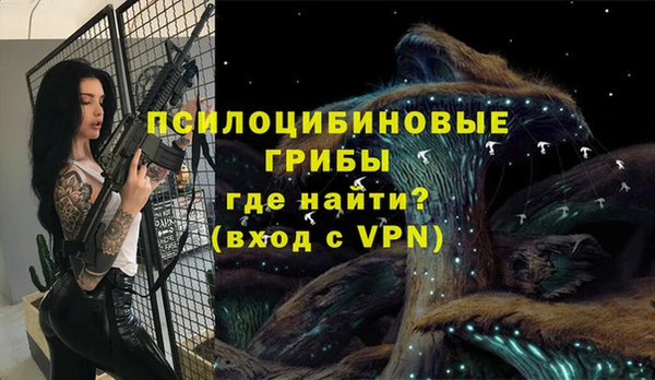 мяу мяу кристалл Переславль-Залесский