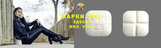 мяу мяу кристалл Переславль-Залесский