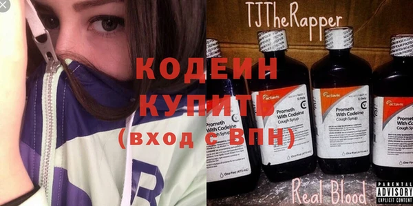 соль ск Пересвет