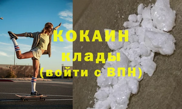 ГАЛЛЮЦИНОГЕННЫЕ ГРИБЫ Галич
