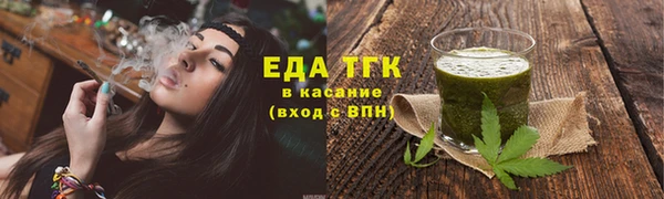 дживик Гатчина