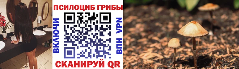 Псилоцибиновые грибы Magic Shrooms где найти KRAKEN tor Красноуральск